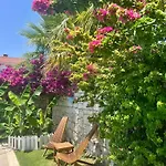 阿拉恰特风车住宿加早餐旅馆 住宿加早餐酒店 4*