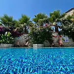住宿加早餐酒店 阿拉恰特风车住宿加早餐旅馆