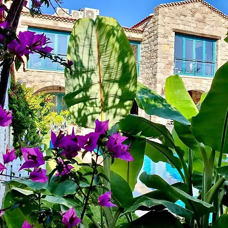 Windmill Alaçatı