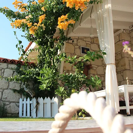 Bed & Breakfast Windmill 4*