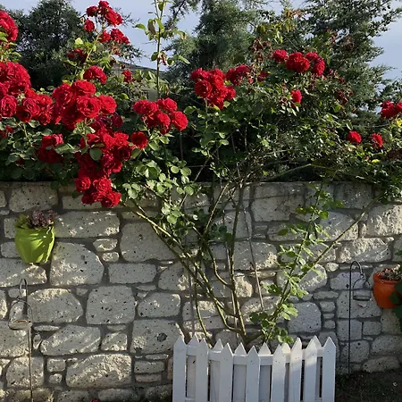 Bed & Breakfast Windmill Alaçatı