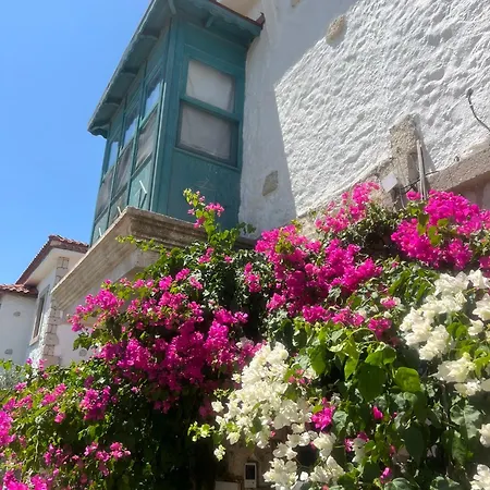 Windmill 4*