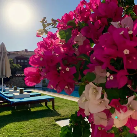 ベッド・アンド・ブレックファスト Windmill 4*