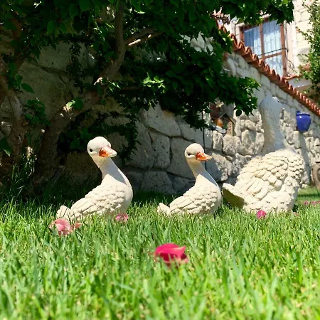 Windmill 3* Alaçatı