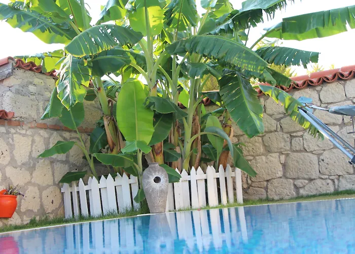 Windmill לינה וארוחת בוקר 4*