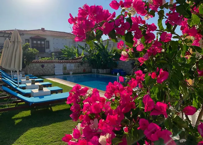 Windmill לינה וארוחת בוקר