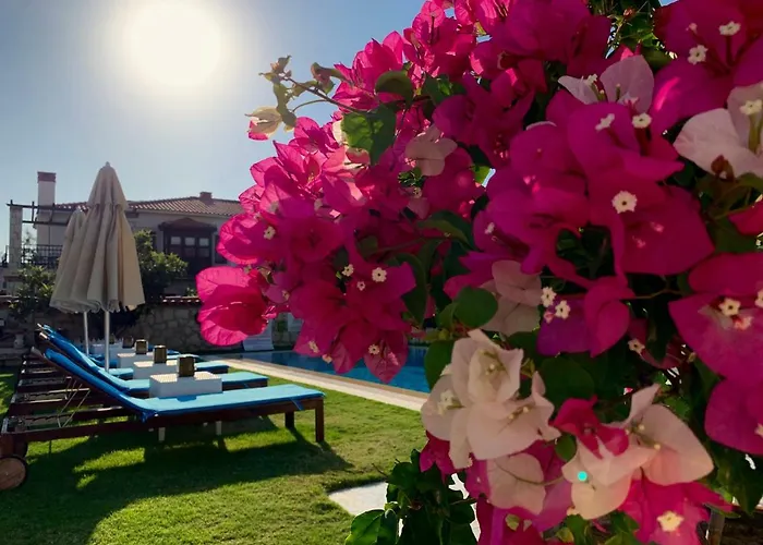 Couette-café Windmill 4*