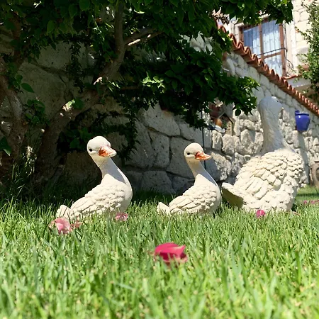 Windmill 4* 알라카티