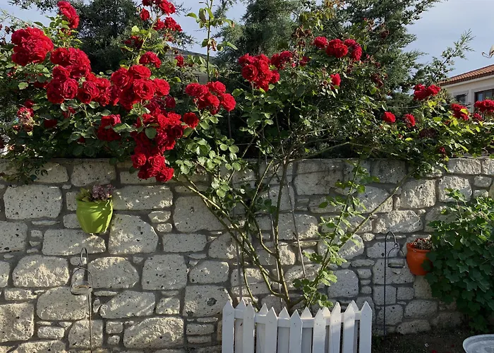 לינה וארוחת בוקר Windmill אלאקאטי